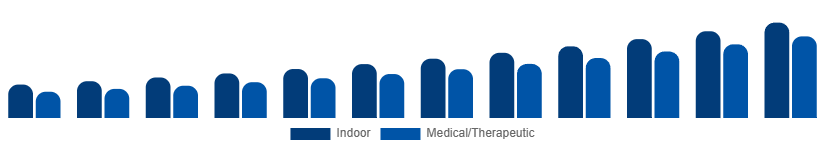 United Arab Emirates Heated Slippers Market Use Case 2025-2033