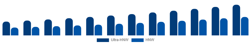 United Arab Emirates Luxury Travel Market Traveler Profile 2025-2033