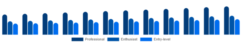 United Arab Emirates Mirrorless Camera Market Camera Class 2025-2033