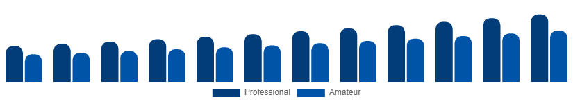 United Arab Emirates Musical Instruments Market End Use 2025-2033