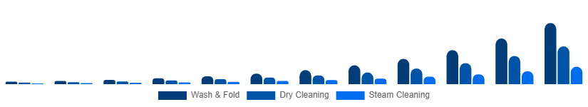 United Arab Emirates Online Laundry Service Market Service Type 2025-2033