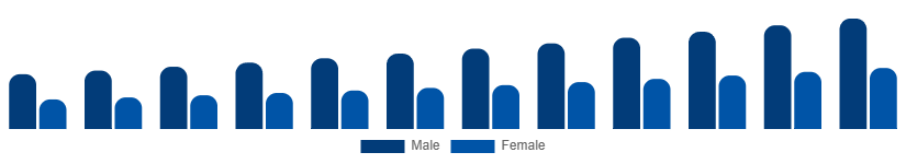 United Arab Emirates Private Label Cosmetics Market End User 2025-2033