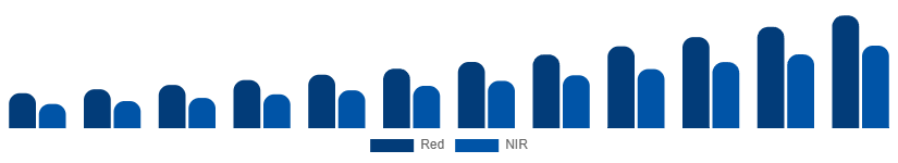 United Arab Emirates Red Light Therapy Belts Market Wavelength 2025-2033