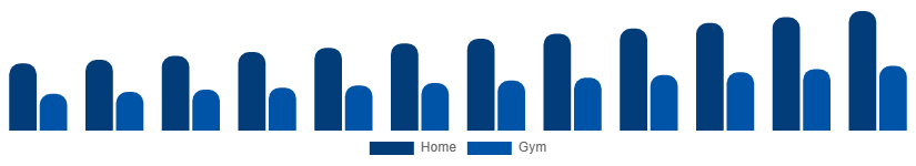 United Kingdom Fitness Equipment Market End Use 2025-2033
