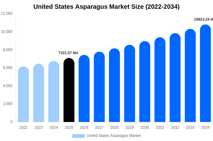 United States Asparagus Market Size, Share & Growth Analysis By [2034]