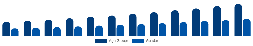 United States Digital Games Market Gamer Demographics 2025-2033