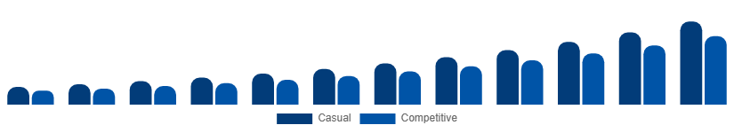 United States Fantasy Sports Market User Type 2025-2033