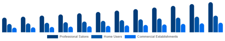 United States Hair Care Devices Market End-User 2025-2033