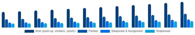 United States Intimate Lingerie Market Product Type 2025-2033