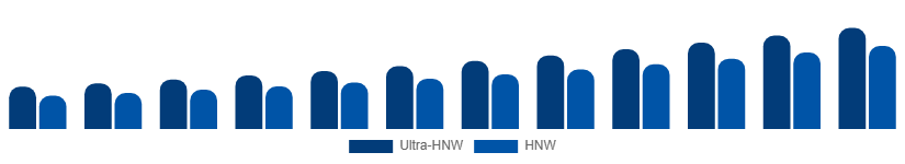 United States Luxury Travel Market Traveler Profile 2025-2033