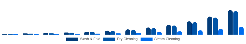 United States Online Laundry Service Market Service Type 2025-2033