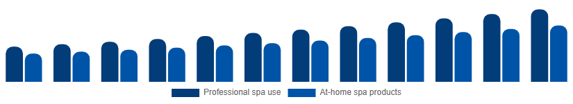 United States Spa Products Market End-user 2025-2033