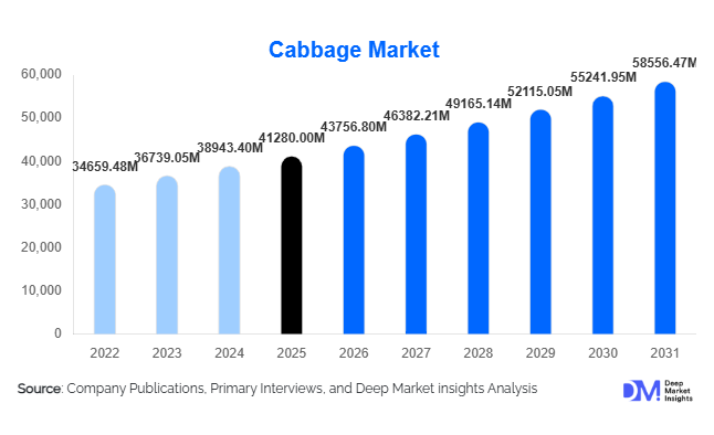 Cabbage Market Size, Share, Demand & Growth Report | 2031