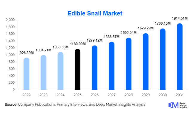 Edible Snail Market Size, Share & Growth Report | 2031