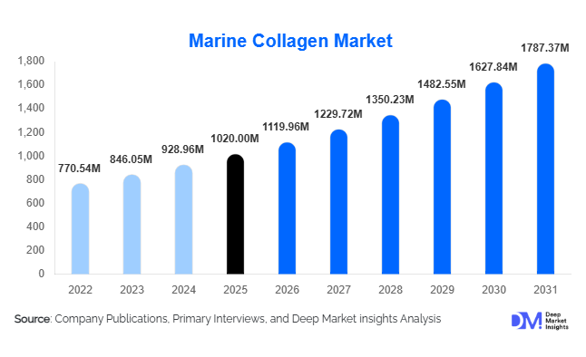 Marine Collagen Market Size, Share & Growth Report | 2031