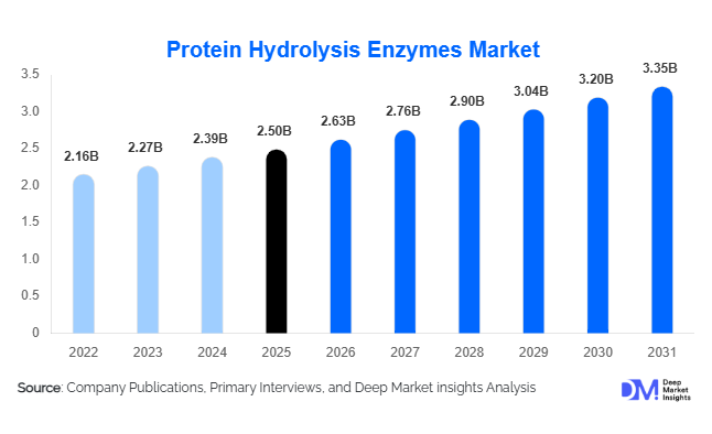 Protein Hydrolysis Enzymes Market Size, Share & Growth Report | 2031