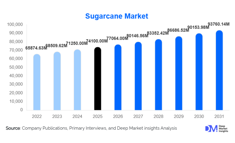 Sugarcane Market Size, Demand & Top Players By 2031